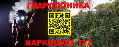 PSILOCYBIN Анжеро-Судженск